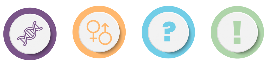 Gender Mainstreaming Law Schools’
